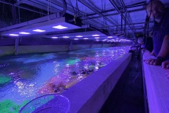 IMG_8739