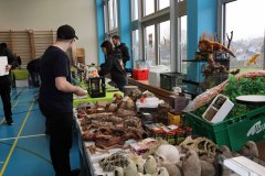 6__3016_fischboerse26_web1920