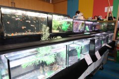 6__3064_fischboerse26_web1920