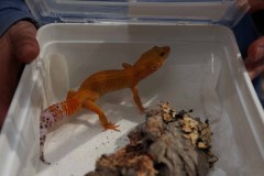 6__3235_fischboerse26_web1920